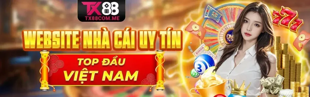 Hướng dẫn cho người mới bắt đầu