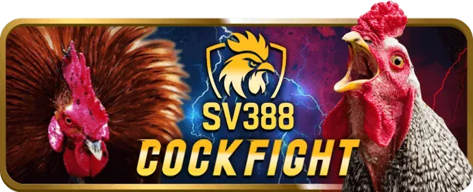 Hoàn trả hàng ngày 123b123b